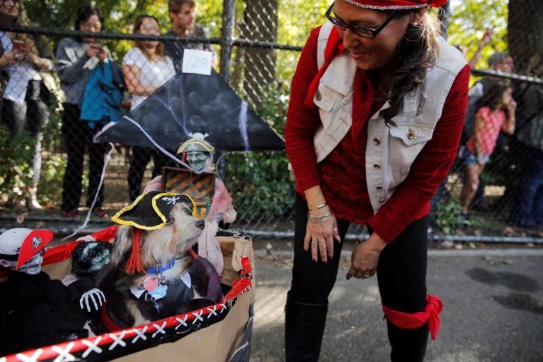 تصاویر | جشن هالووین برای سگ‌ها
